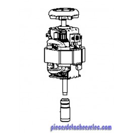 Moteur + Coupleur pour Mixeurs Moulinex Moteur + Coupleur pour Mixeurs Moulinex