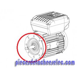 Flasque Avant de Moteur pour Pompe Super Pump Hayward