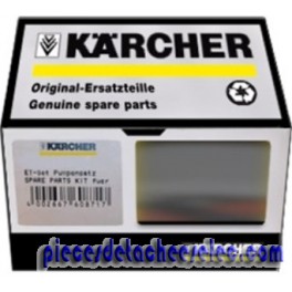 Set de Pompes pour Nettoyeur Haute Pression Karcher Set de Pompes pour Nettoyeur Haute Pression Karcher