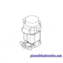 Moteur pour Nettoyeur Haute Pression Nilfisk Moteur pour Nettoyeur Haute Pression Nilfisk