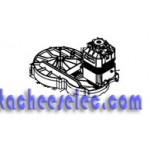 Moteurs pour Tondeuse Black & Decker