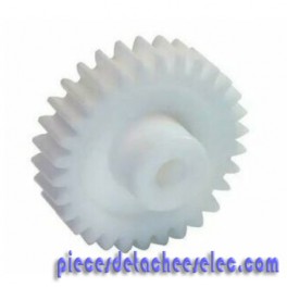 Pignon Moteur pour Extracteur de Jus H.Koenig Pignon Moteur pour Extracteur de Jus H.Koenig