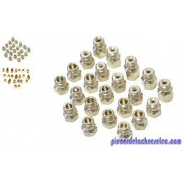 Kit injecteur pour Cuisiniere Indesit Kit injecteur pour Cuisiniere Indesit