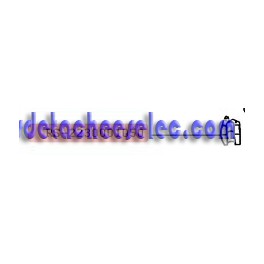 Poids Gauche pour Aspirateur Robot Rowenta Poids Gauche pour Aspirateur Robot Rowenta
