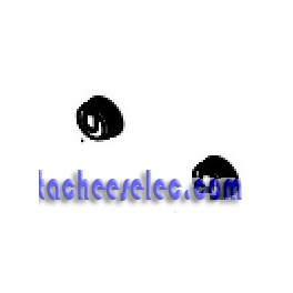Volant x2 pour Plancha Campingaz