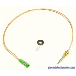 Kit Thermocouple pour Plaque de Cuisson EK2000 DOMETIC