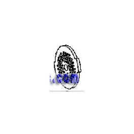 Grille Petit Hachoir pour Robot i Coach Touch Noir Moulinex Grille Petit Hachoir pour Robot i Coach Touch Noir Moulinex