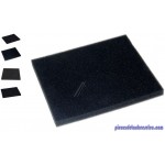 Filtre Mousse de Protection Moteur pour Aspirateur Philips