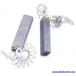 Kit de 2 Charbons Moteur pour Aspirateur Eau et Poussière AquaVac