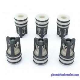 Kit Soupape pour Nettoyeur Haute Pression Nilfisk Kit Soupape pour Nettoyeur Haute Pression Nilfisk