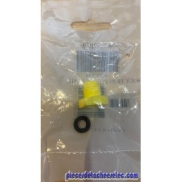 Bouchon de Purge D'air pour Filtre à Sable Side Hayward Bouchon de Purge D'air pour Filtre à Sable Side Hayward