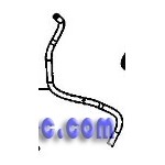 Tube Silicone 1 m pour Machine à Café NEO KRUPS