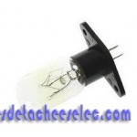 Ampoule pour Micro Onde HKOENIG