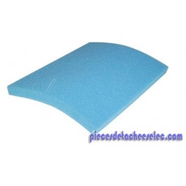 Filtre Sortieteur pour Aspirateur PHILIPS