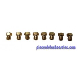 Kit Injecteurs Gaz Butane Propane pour Plaque de Cuisson SCHOLTES