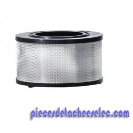 Cartouche Filtrante H pour Aspirateur Eau et Poussiére NILFISK Cartouche Filtrante H pour Aspirateur Eau et Poussiére NILFISK