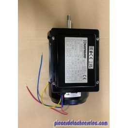 Moteur pour Pompe Hayward