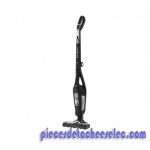 Aspirateur Balai Dual Force 2 en 1 Rowenta