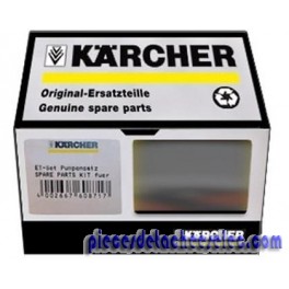 Set de Pompe pour Nettoyeur Haute Pression KARCHER Set de Pompe pour Nettoyeur Haute Pression KARCHER