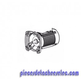 Moteur pour Pompe de Filtation Hayward