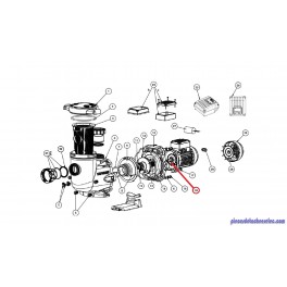 Moteur pour Pompe Tristar Hayward