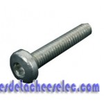 Vis.torx m4x21 pour Fer à Repasser Rowenta