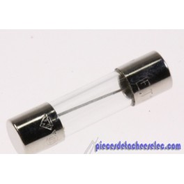 Fusible 10A-250V pour Micro Ondes WHIRLPOOL