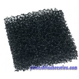 Filtre/mousse pour Aspirateur Laveur ROWENTA