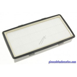 Filtre Hepa pour Aspirateur Silence Force / Silence Force Compact Rowenta